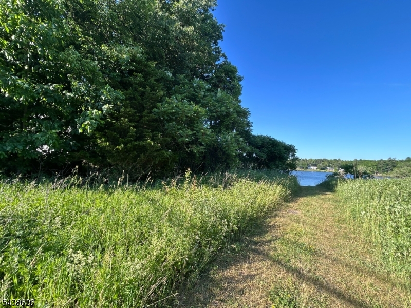 Lake Shore Property Photo 12