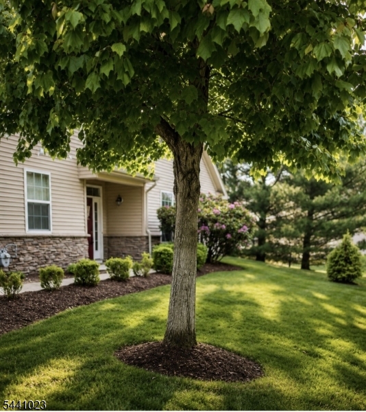 14 Fehervari Ct Property Photo 4
