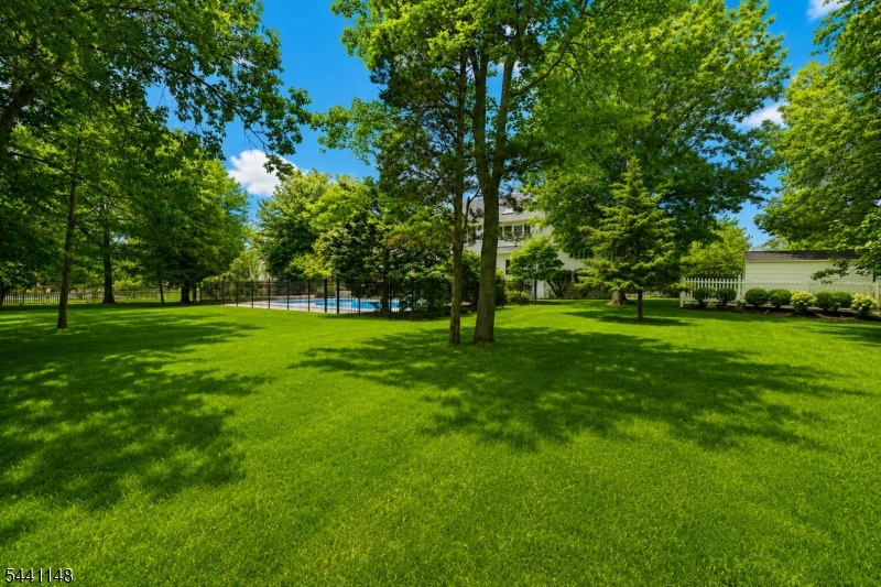 181 Berkley Ave Property Photo 46