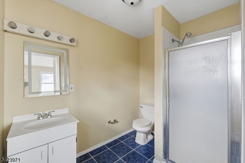 172 Carroll St Property Photo 48