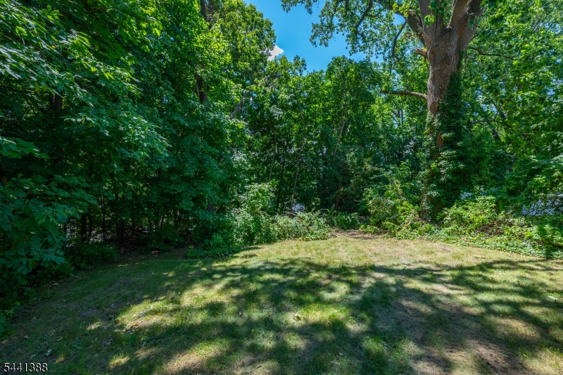 443 Mount Prospect Ave Property Photo 22