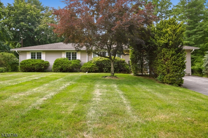 41 Carey Rd Property Photo 2