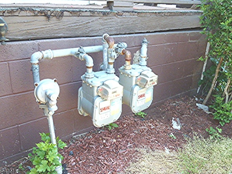 557 Magnolia Ave Property Photo 4