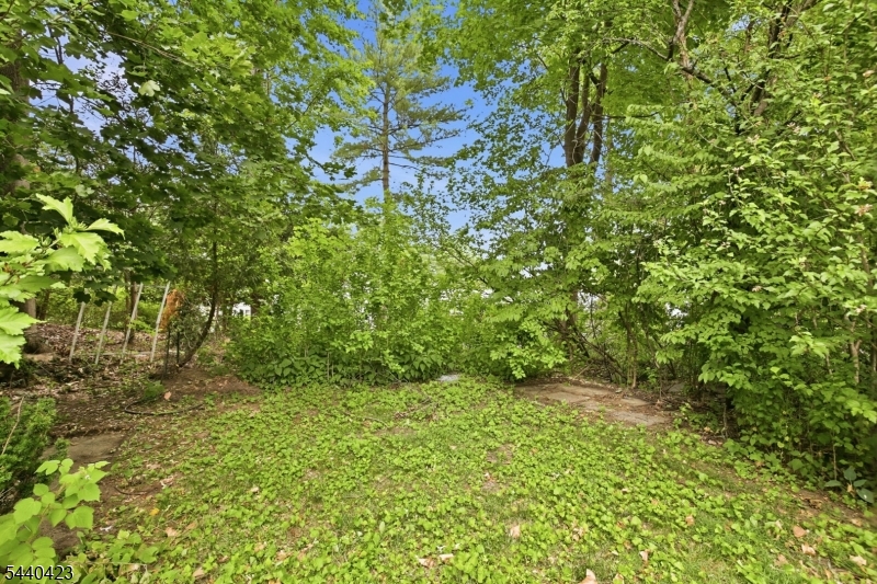 61 Samson Ave Property Photo 12