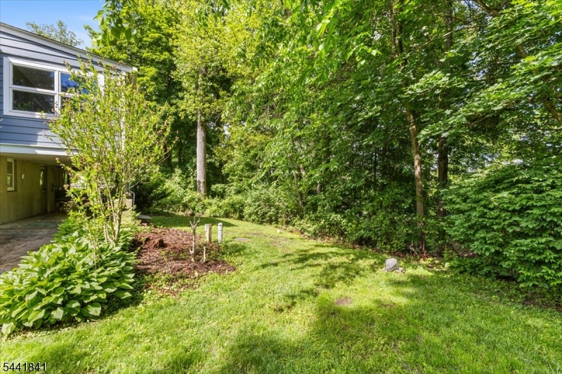 231 Sussex Ave Property Photo 41