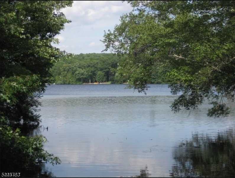 Palmetto Tr Property Photo 8
