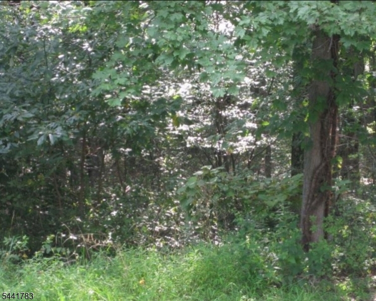 Palmetto Tr Property Photo 11