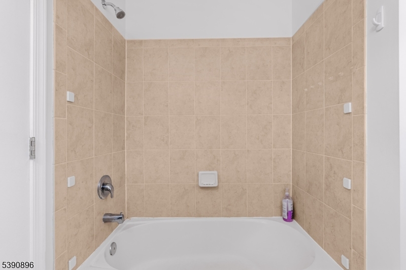 8 Alfred Ave Property Photo 17