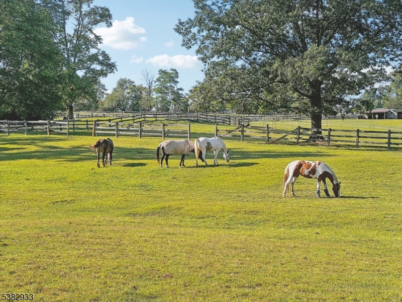 60 Perryville Rd Property Photo 44
