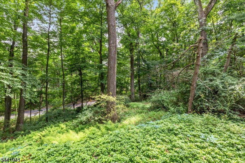 444 Little Brook Road Property Photo 30
