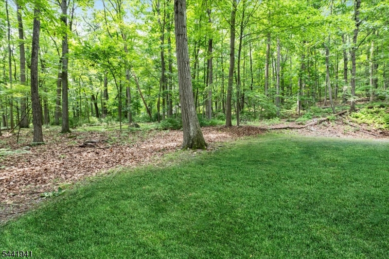 444 Little Brook Road Property Photo 41