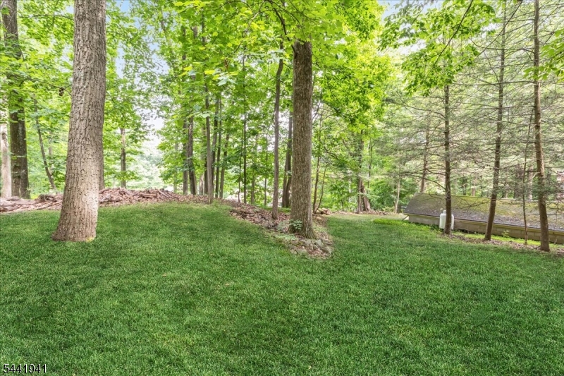 444 Little Brook Road Property Photo 42