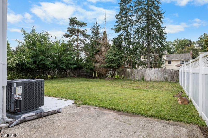 206 Linden Ave Property Photo 15