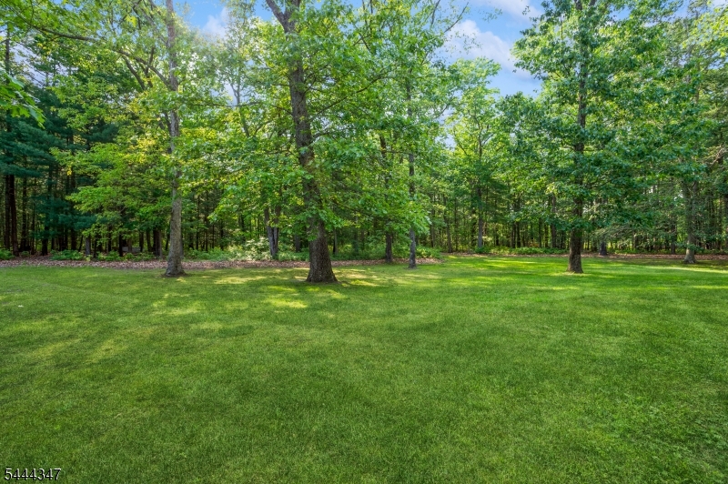 5 Ramapo Ct Property Photo 25