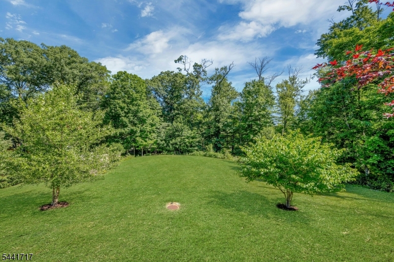 215 Mountainview Rd Property Photo 34