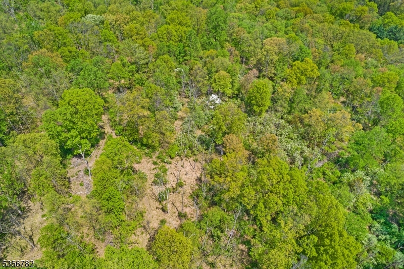 Hardscrabble Hill Rd Property Photo 4