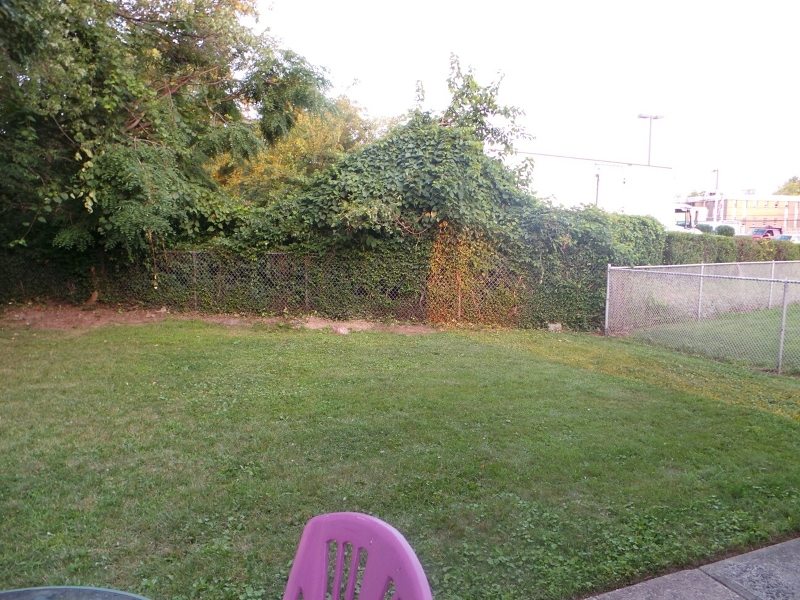 1017 Burnet Ave Property Photo 45