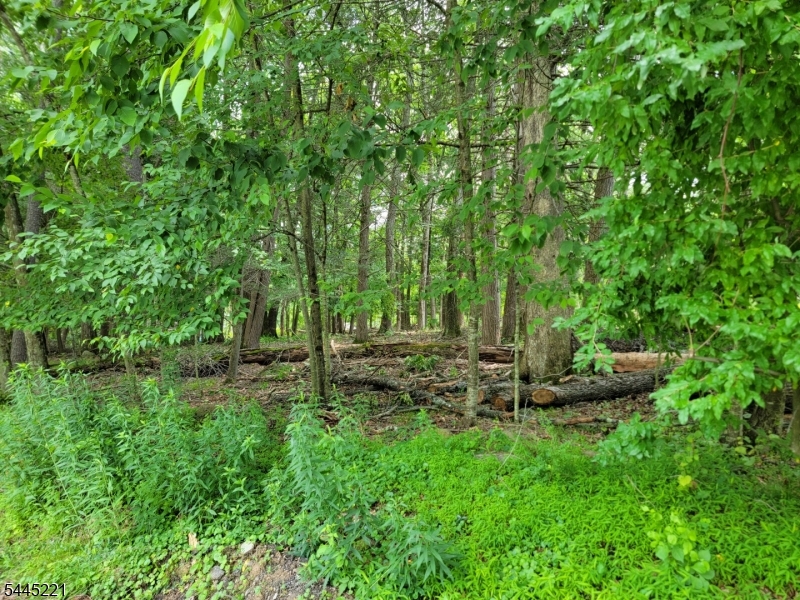 Old Chimney Ridge Rd Property Photo 1