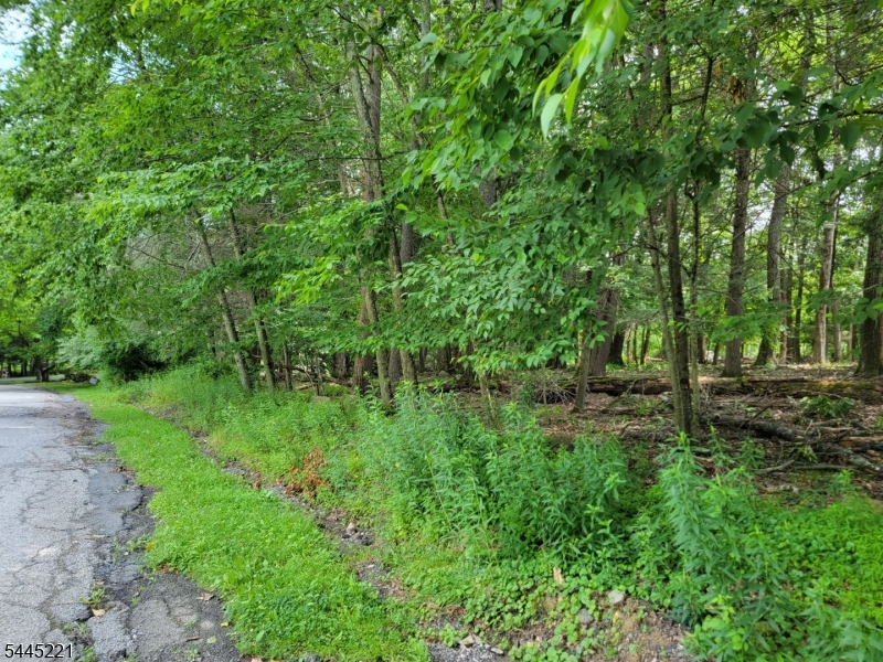 Old Chimney Ridge Rd Property Photo 3