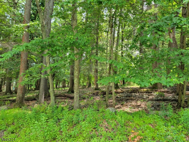 Old Chimney Ridge Rd Property Photo 5