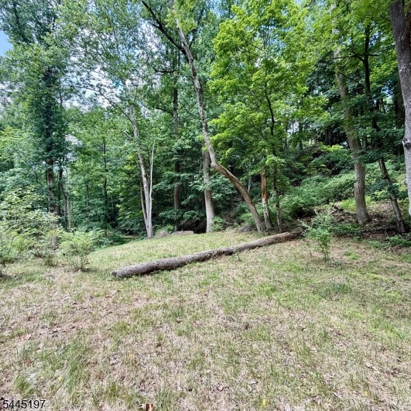 58 Hollow Rd Property Photo 12
