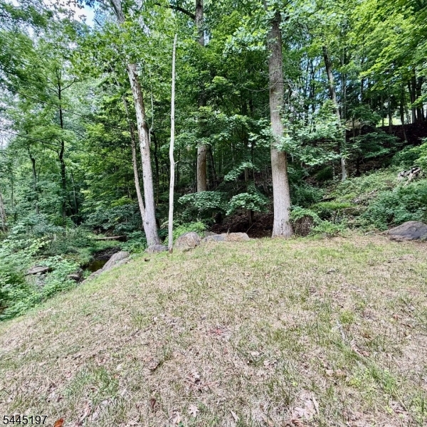 58 Hollow Rd Property Photo 14