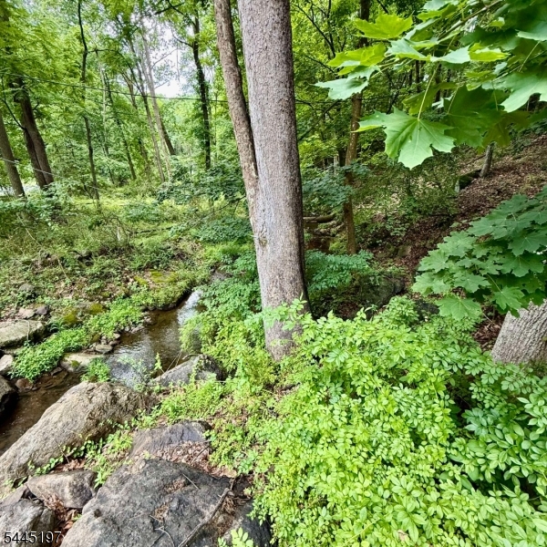 58 Hollow Rd Property Photo 16