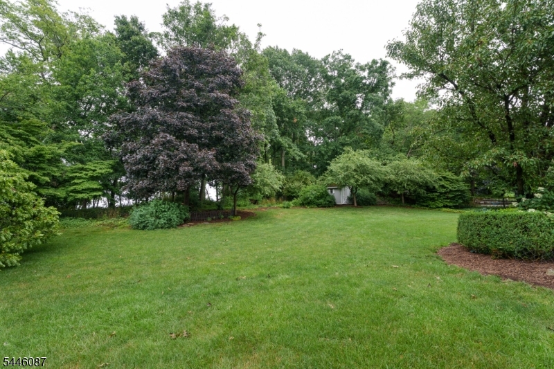 17 Shy Creek Rd Property Photo 36