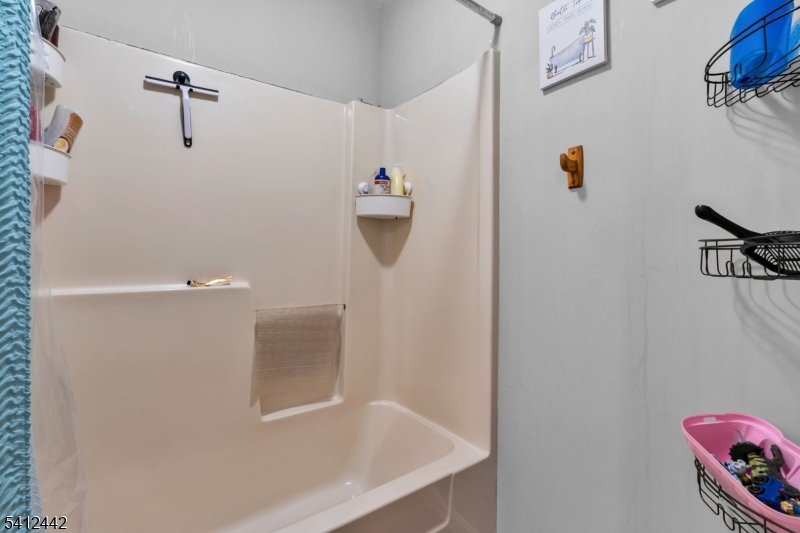 208 E Price St Property Photo 27