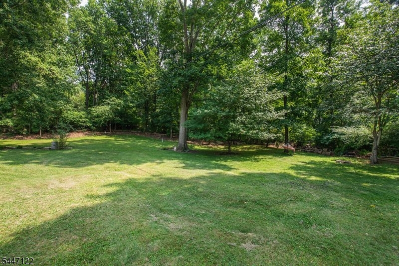 48 Green Ln Property Photo 22