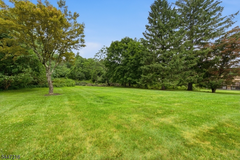8 Morris Tpke Property Photo 16