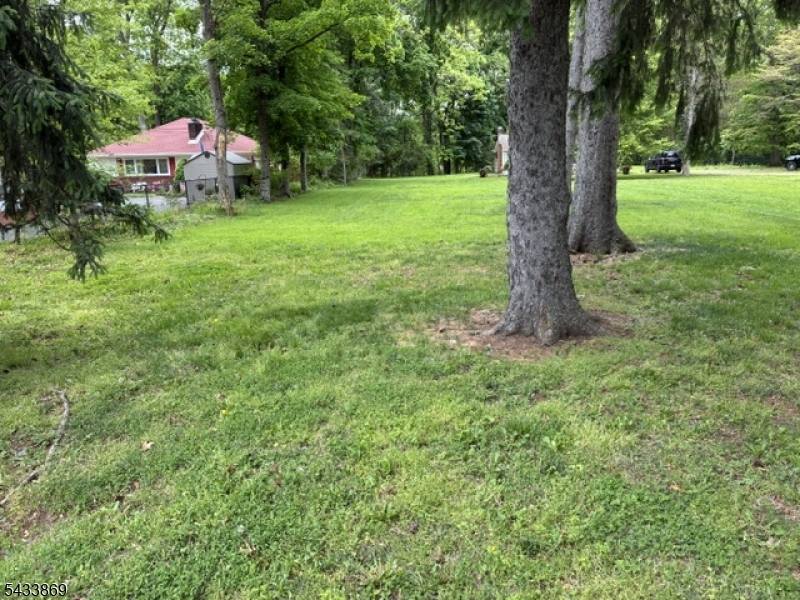 19 Crescent Rd Property Photo 24