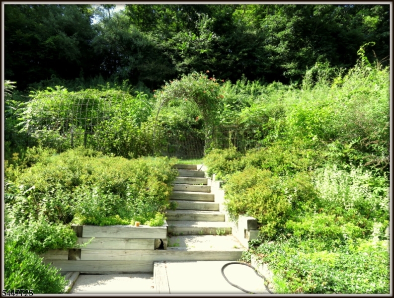 903 Dove Island Rd Property Photo 39