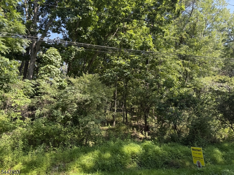 Bills Ln Property Photo 1