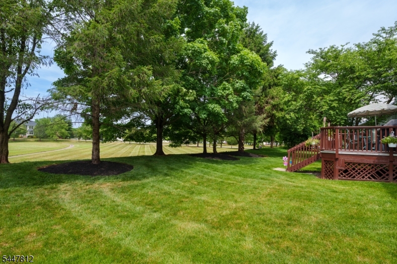 4 Muirhead Ct Property Photo 36