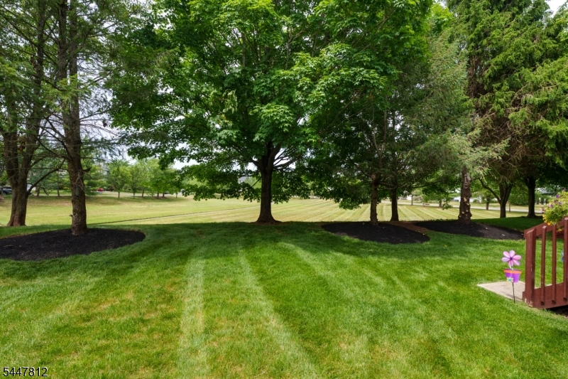 4 Muirhead Ct Property Photo 37