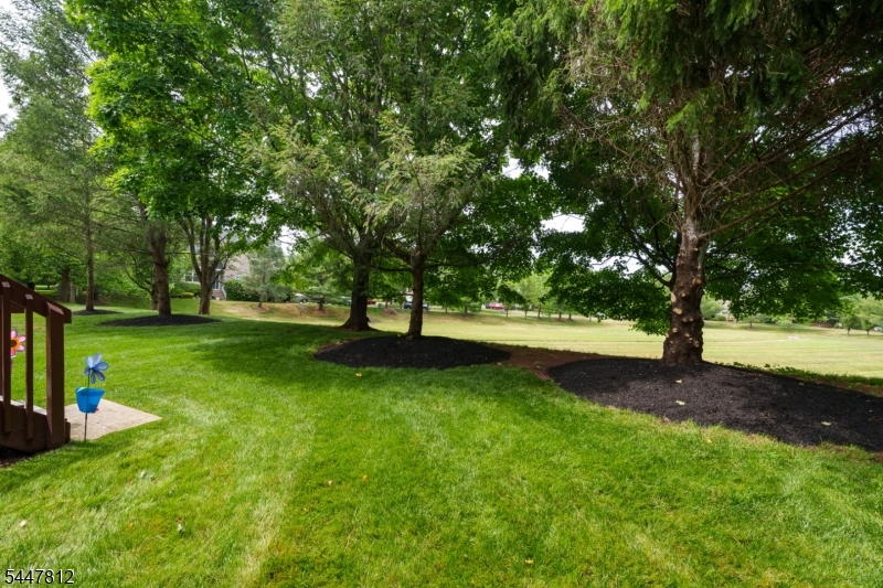 4 Muirhead Ct Property Photo 39