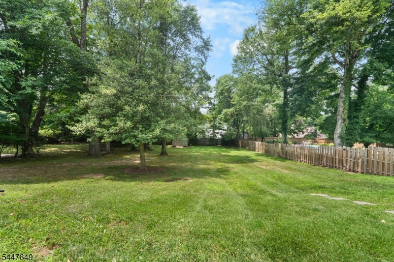 950 Belvidere Property Photo 43