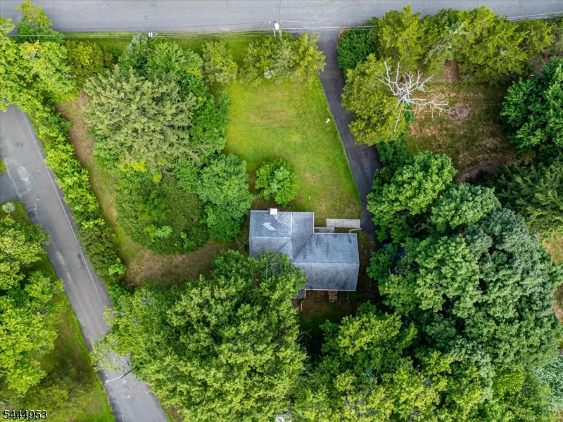 50 Forest Ave Property Photo 16