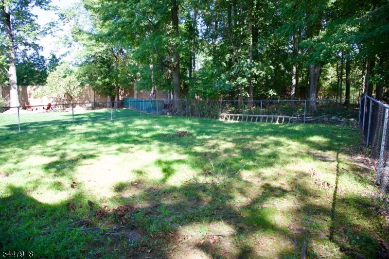 41 Beechwood Rd Property Photo 25