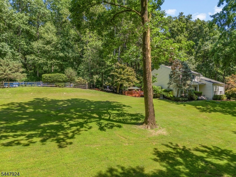 954 Iron Bridge Rd Property Photo 44