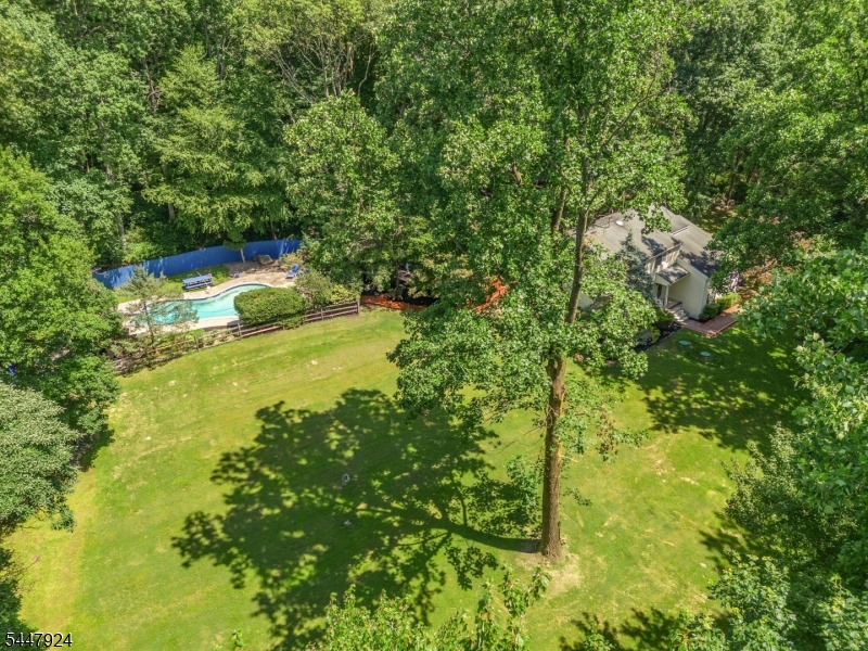 954 Iron Bridge Rd Property Photo 45