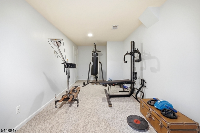 53 Ramapo River Trce Property Photo 23
