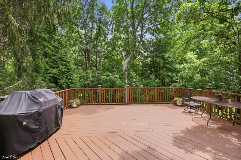 53 Ramapo River Trce Property Photo 32