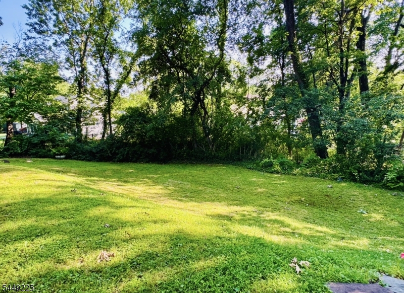 53 Old Wood Rd Property Photo 30