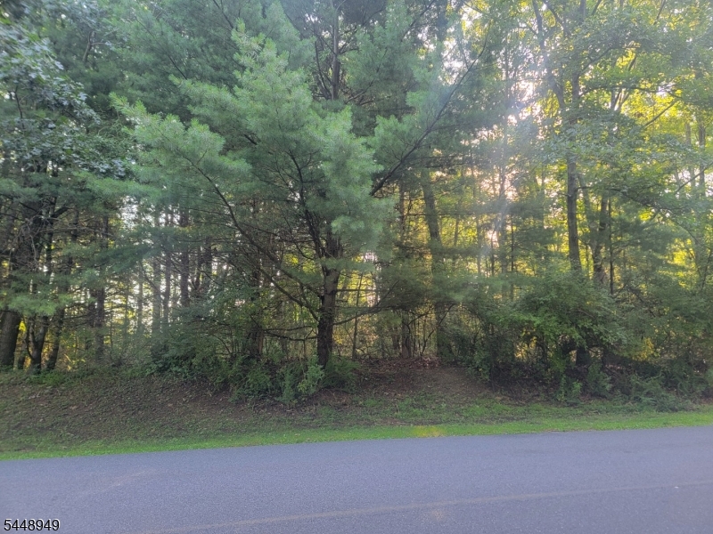 Wagon Wheel Rd Property Photo 1