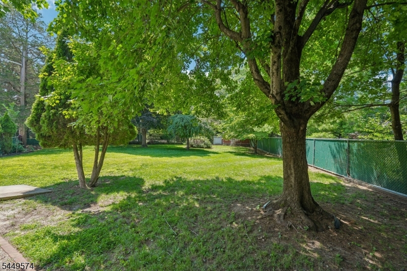 2 Howard St Property Photo 29