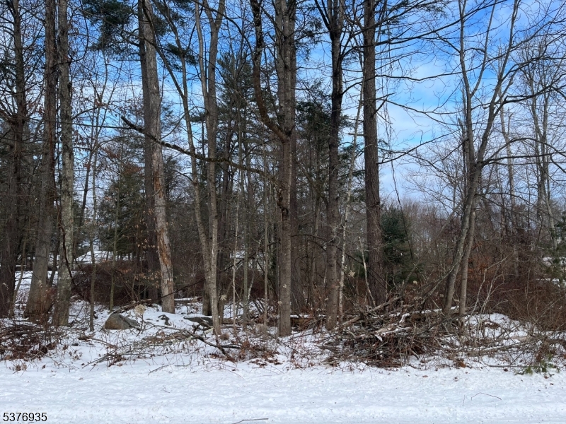 Old Chimney Ridge Rd Property Photo 1
