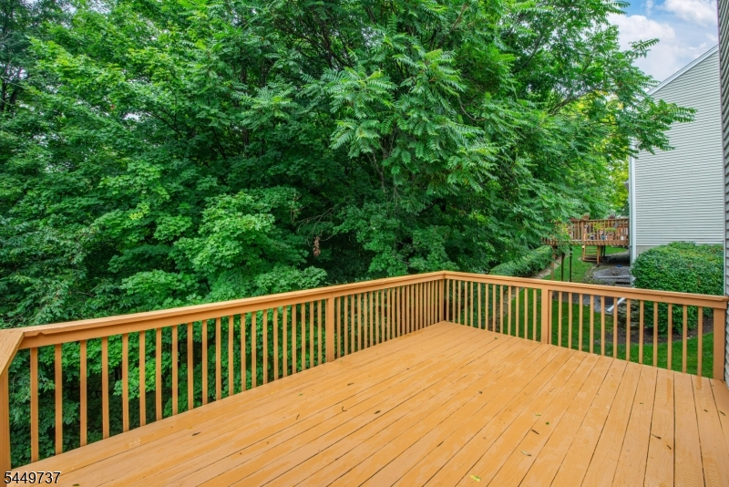12 Pale Star Ct Property Photo 41