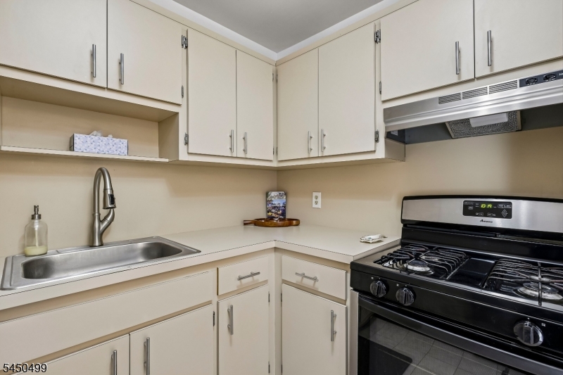 33 Henry Pl B2 Property Photo 4